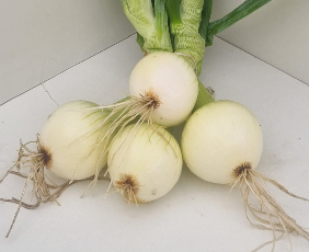 Komkommer, ui, (tros)tomaat en aardappel