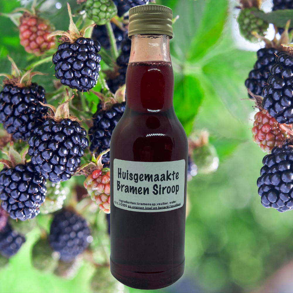 Huisgemaakte limonadesiroop