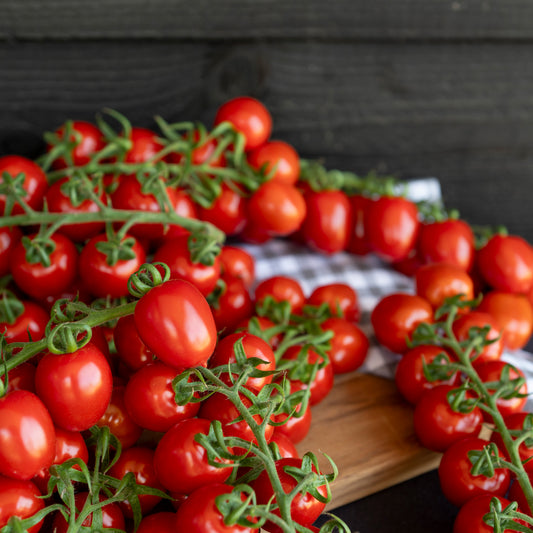 Cocktail pruimtomaten