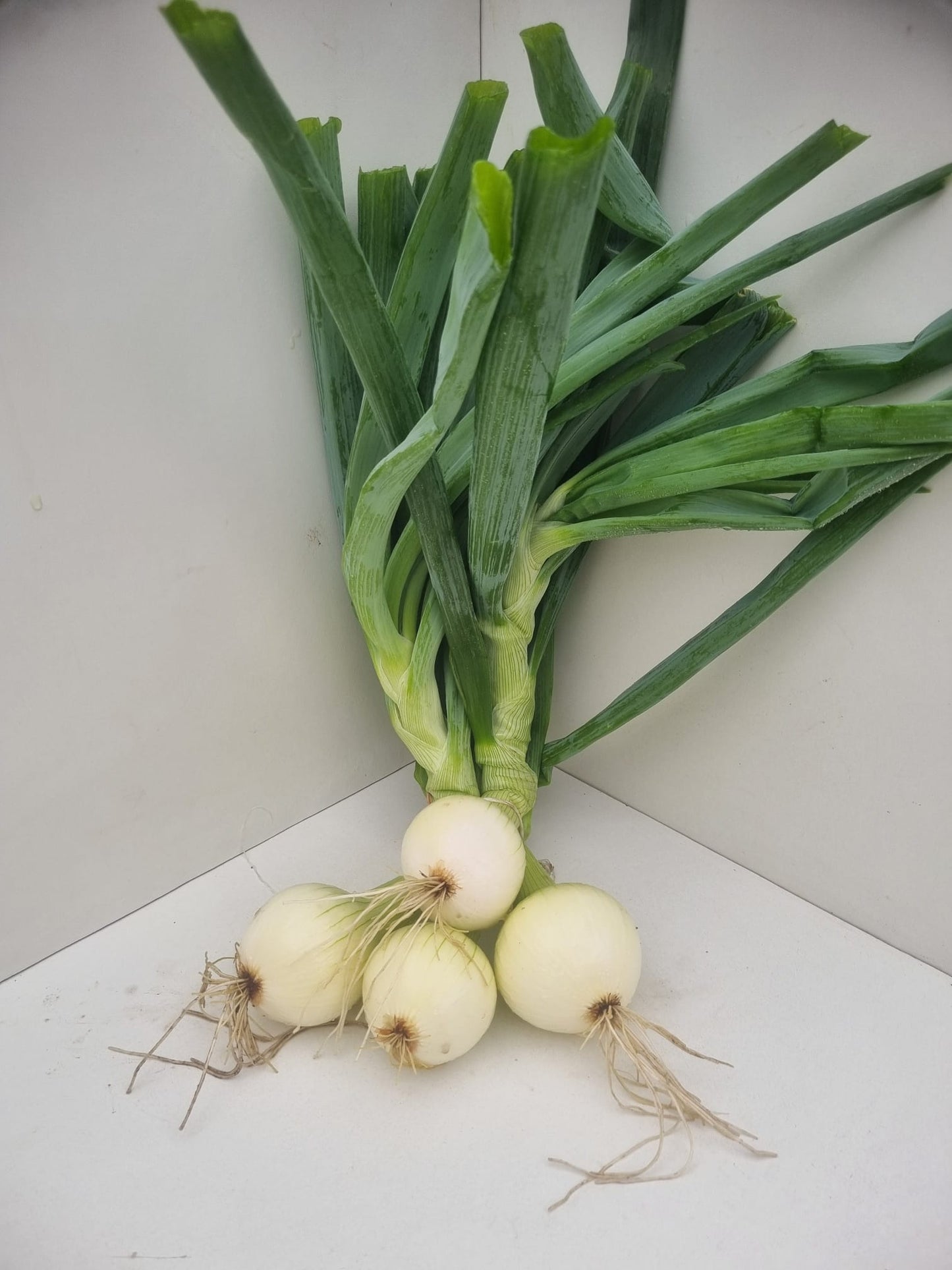 Komkommer, ui, (tros)tomaat en aardappel
